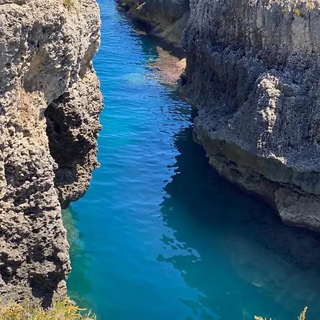 Maeri Αουγκούστα